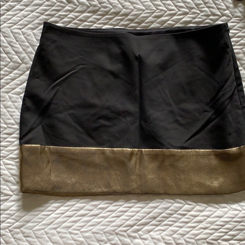 Express skirt